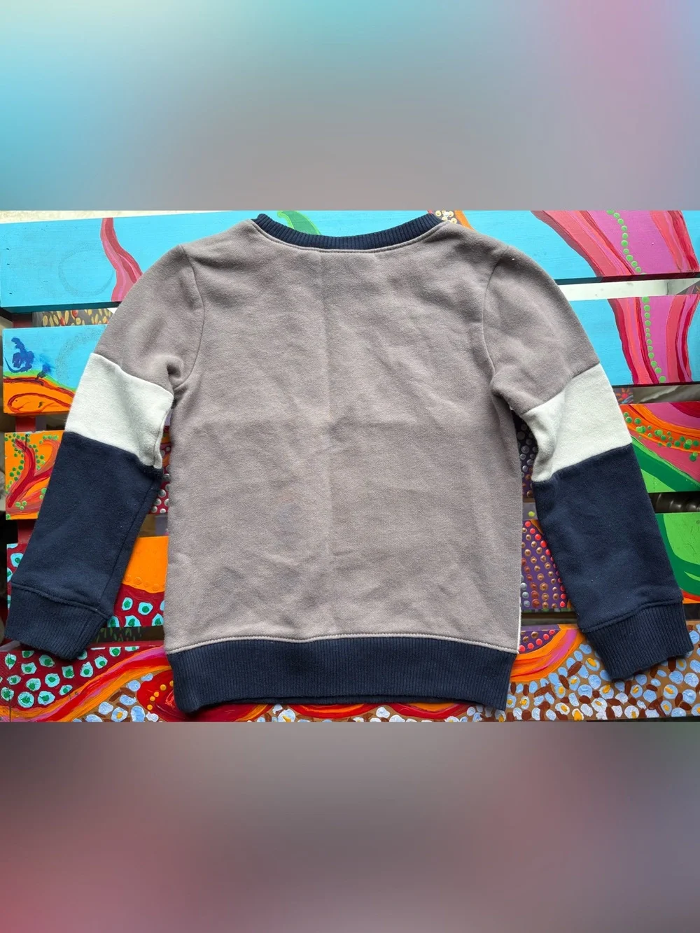 The Children’s Place Kids 3 Piece Crew Sweatshirt and Hoodie Bundle Size 4T